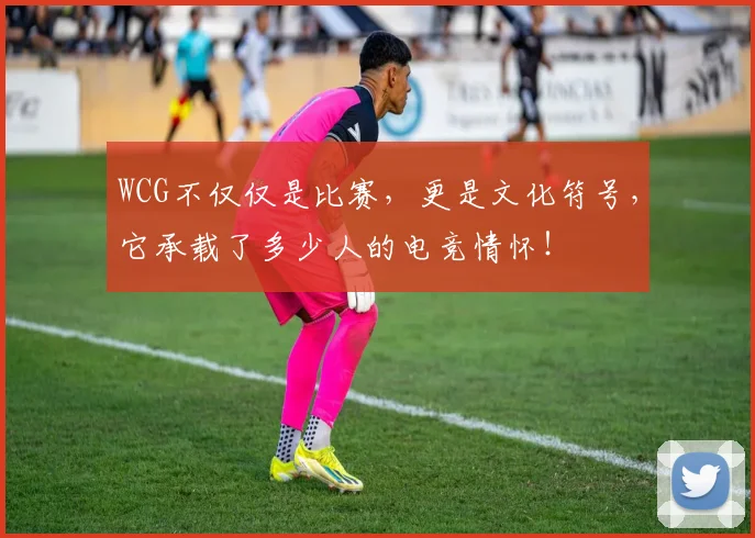 WCG不仅仅是比赛,更是文化符号,它承载了多少人的电竞情怀!