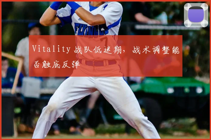 Vitality 战队低迷期,战术调整能否触底反弹