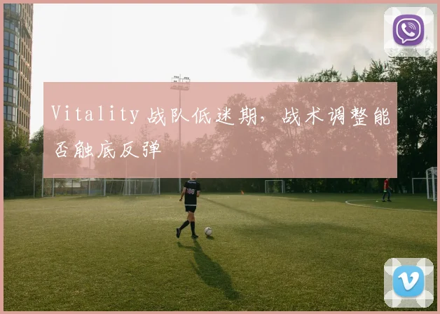 Vitality 战队低迷期,战术调整能否触底反弹